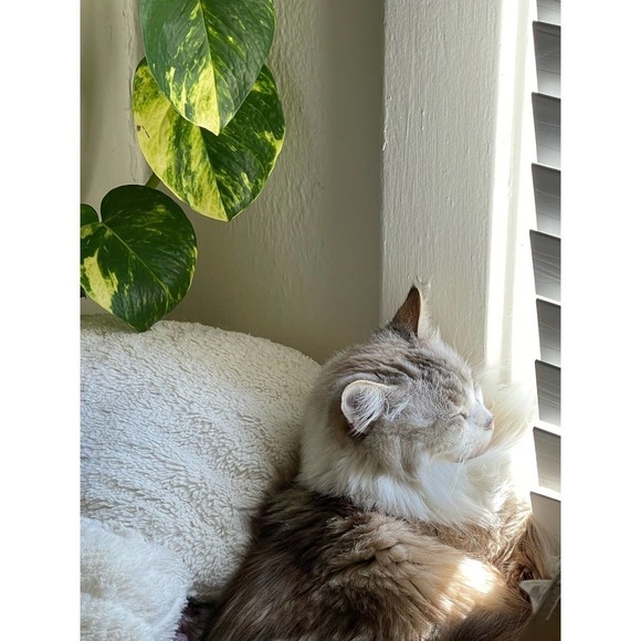 Vintage 1980’s Madras Plaid Cotton Romper Playsuit Pink, Blue, Green Size XS - Picture 15 of 16